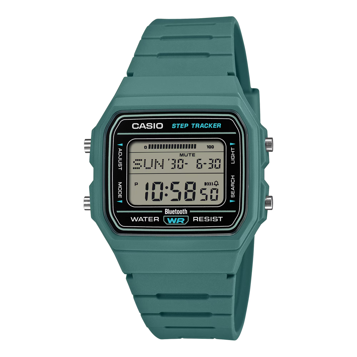 CASIO F-B100W-3A